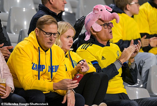 Sweden fans inside King Baudouin Stadium, where the match was suspended following the two killings
